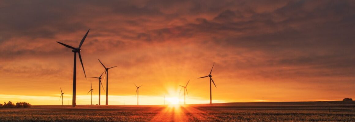 Empowering Sustainable Futures with Diemen Efiter!